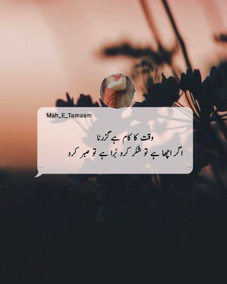 Life Advice image