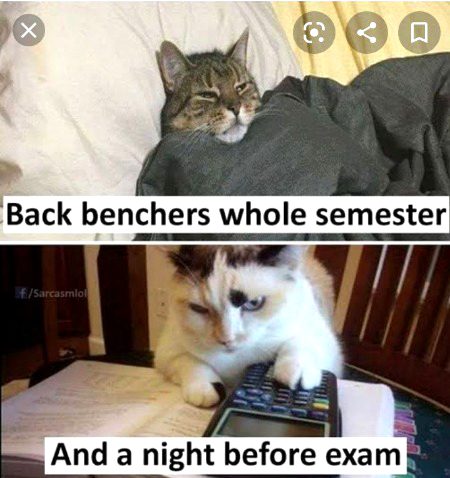 Memes & Satire image