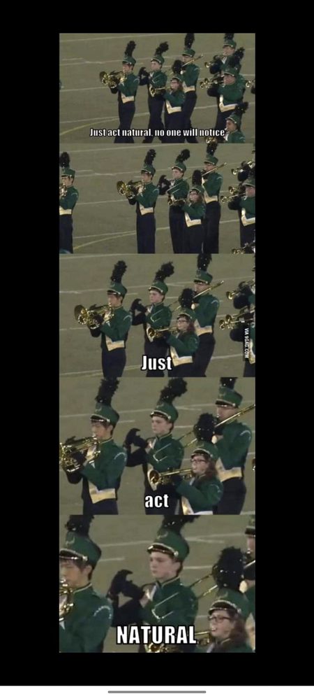 Memes & Satire image