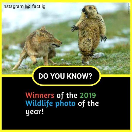 Interesting Posts image