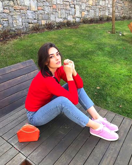 Turkish Celebs image