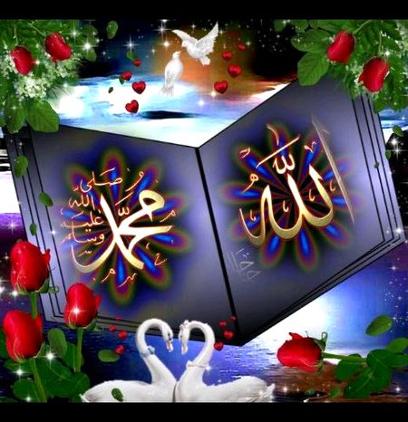 Islamic Quotes image