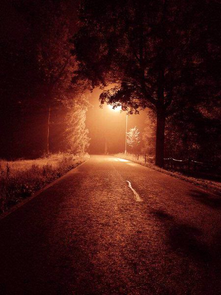 Beautiful Nature image