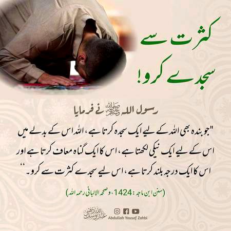 Islamic Quotes image