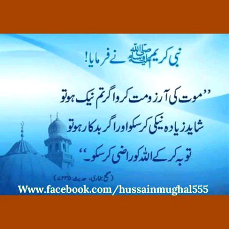 Islamic Quotes image
