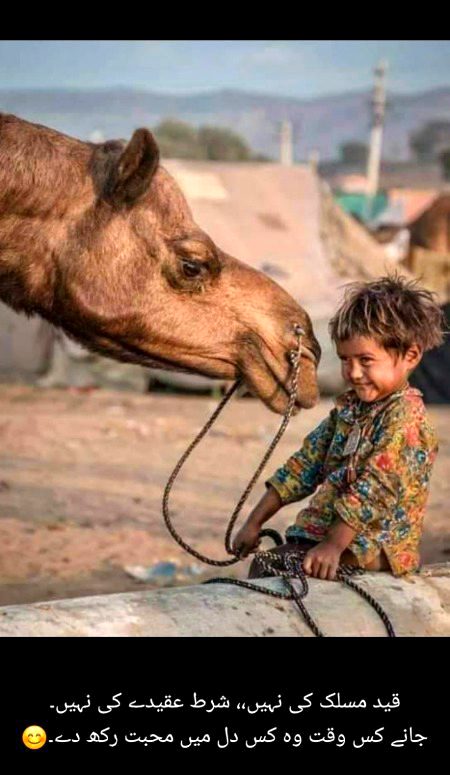 آہ سحر نے سوزش دل کو مٹا دیا اس باد نے ہمیں تو دیا سا بجھا دیا