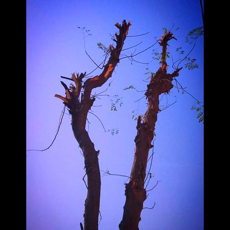 انسان کے اب تک کے تمام گھڑے ہوئے مفروضوں میں سب سے بڑا احمقانہ مطالبہ یہ ہے کہ کوئی ہم سے محبت کرے !
🖤