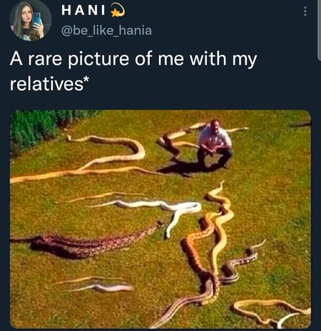 Memes & Satire image