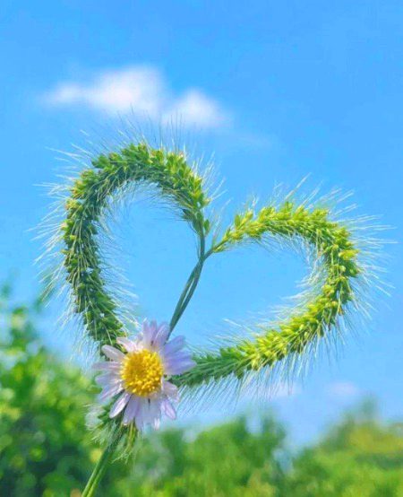 Beautiful Nature image