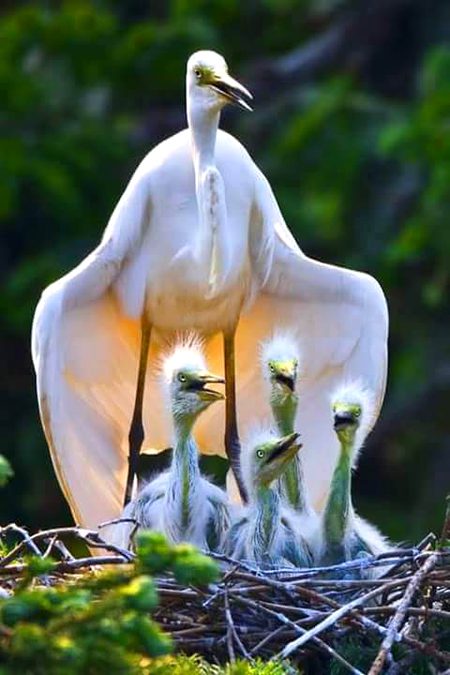 Beautiful Nature image