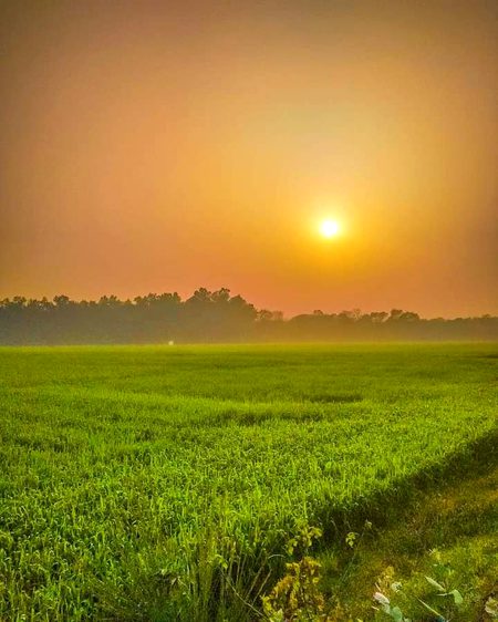 Beautiful Nature image