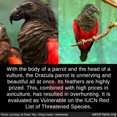 Interesting Posts image