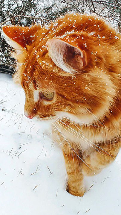 Beautiful Nature image