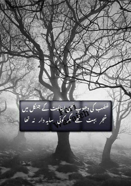 Sad Poetry image