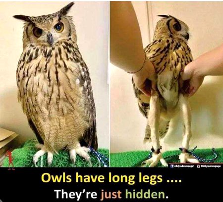 Interesting Posts image