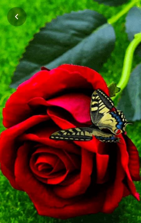 Digital Art image