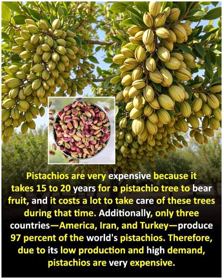 Interesting Posts image