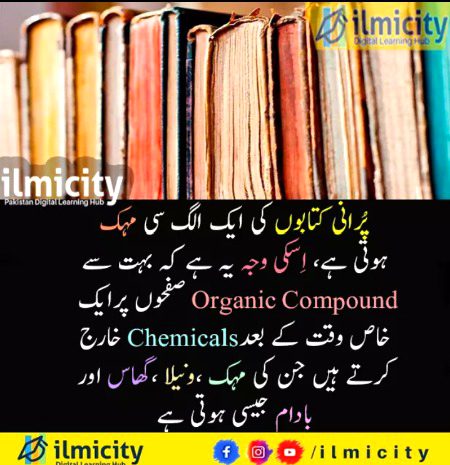 Interesting Posts image