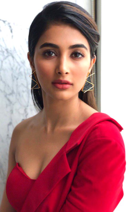 Indian Celebs image