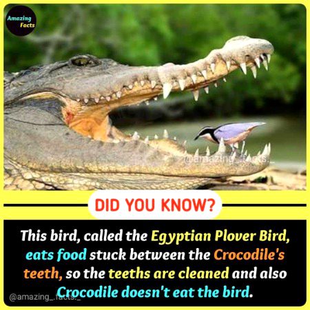 Interesting Posts image