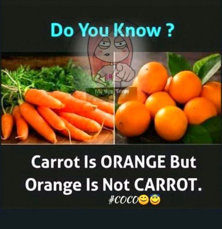 Knowledge Test image