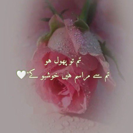 3 pege lk done Kuch without cmt