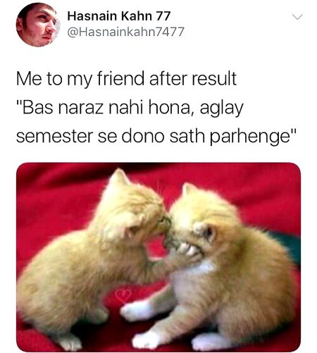 Memes & Satire image