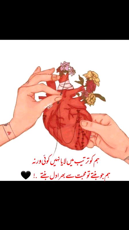 Memes & Satire image