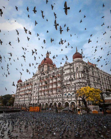 Beautiful Structures image