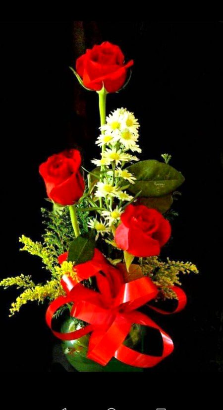 Beautiful Nature image