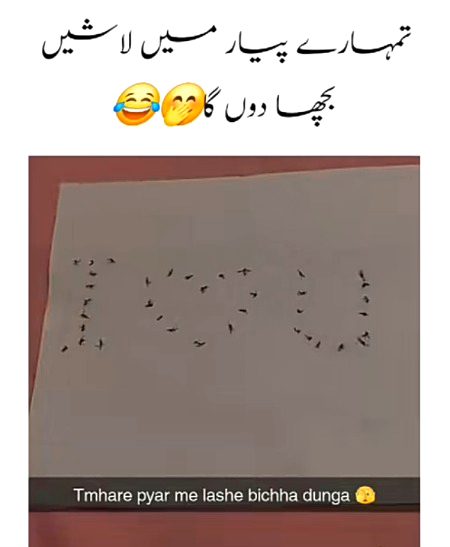 Memes & Satire image