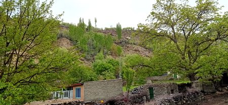 Beautiful Nature image