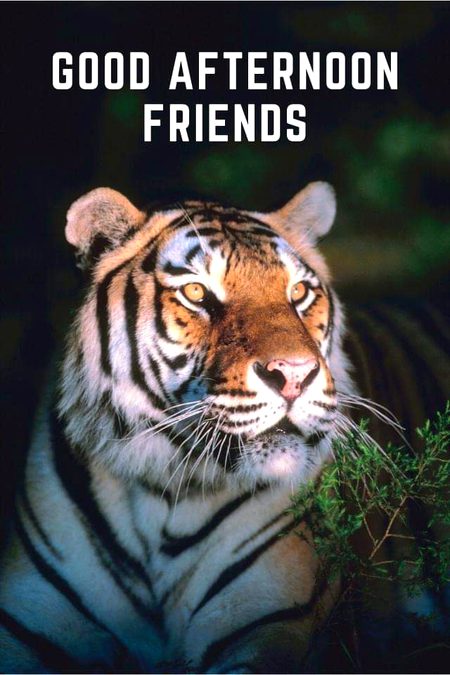 Beautiful Nature image