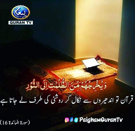 Hn it gbh6gyff ngfvbh