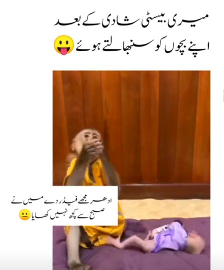 Memes & Satire image