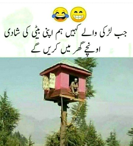 Memes & Satire image