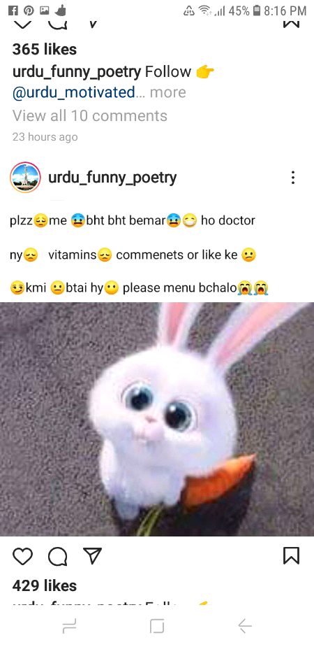 ❤💚💜❤💚💜❤💚