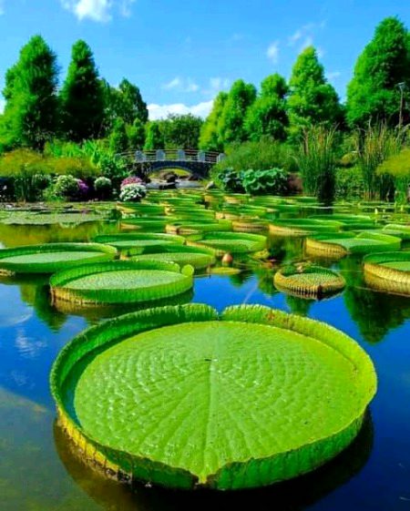 Beautiful Nature image