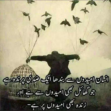 🍁Zoq_Shab🍁