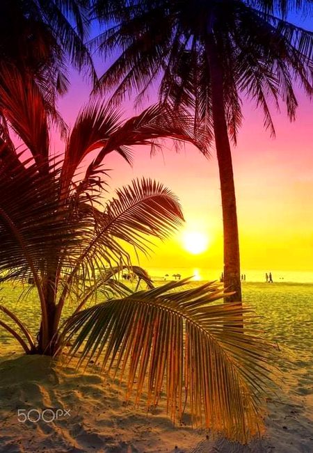 Beautiful Nature image