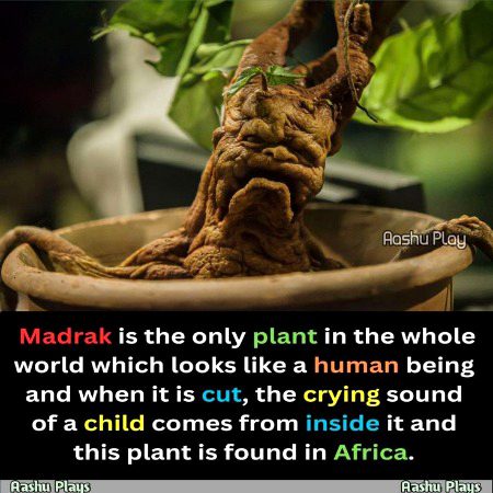 Interesting Posts image