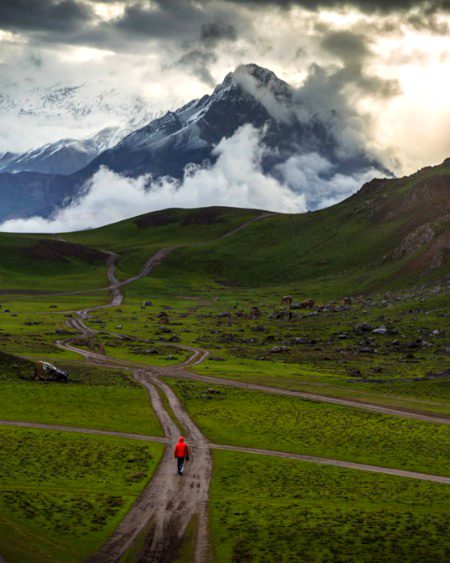 Beautiful Nature image