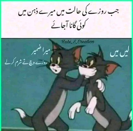 Memes & Satire image