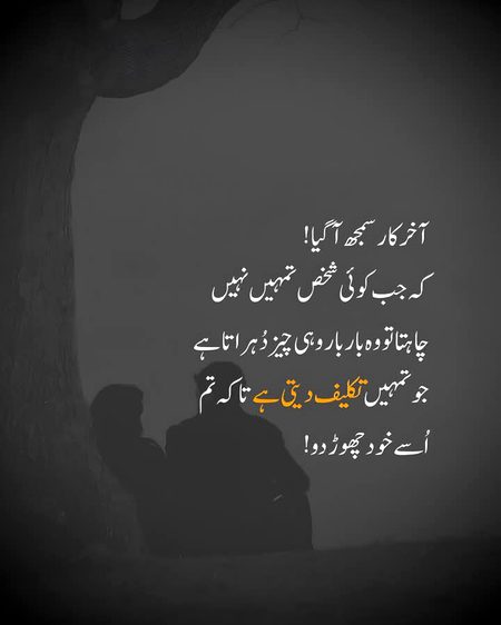 🫶🤍🤍🤍💔🤍🤍🤍🫶