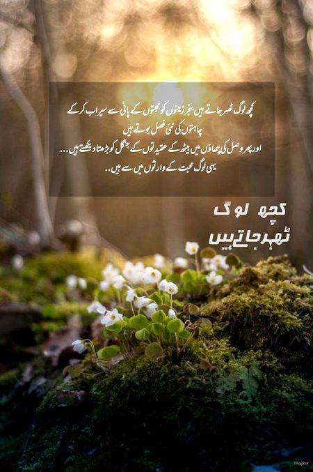 Romantic Novels image