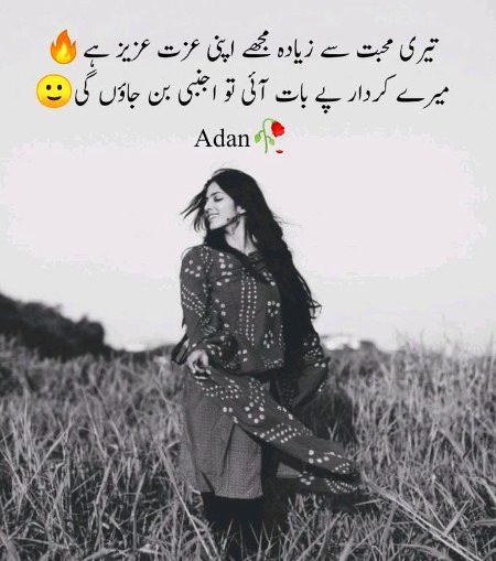Attitude Poetry image