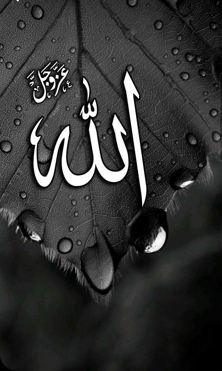 السلام علیکم ورحمتہ اللہ وبرکاتہ 
صبح بخیر
جمعہ مبارک
جس طرح اندھیرے کمرے میں روشنی کی ایک کرن اندھیرے کو ختم کر دیتی بلکل اسی طرح زندگی میں ایک چھوٹی سی نیکی، اچھا عمل کسی کی زندگی کو تبدیل کر دیتا ہے۔
 ایک مسکراہٹ، ایک میٹھا بول، روزانہ صدقہ ،روزانہ کوئی نیکی زندگی کو بہت دلکش بنا دیتی ہے۔
 اے ہمارےرب ہماری آنکھوں میں حیاء، دلوں میں اپنا خوف اور زبان پر خیر کے کلمات جاری فرما۔
آمين يارب العالمين🤲