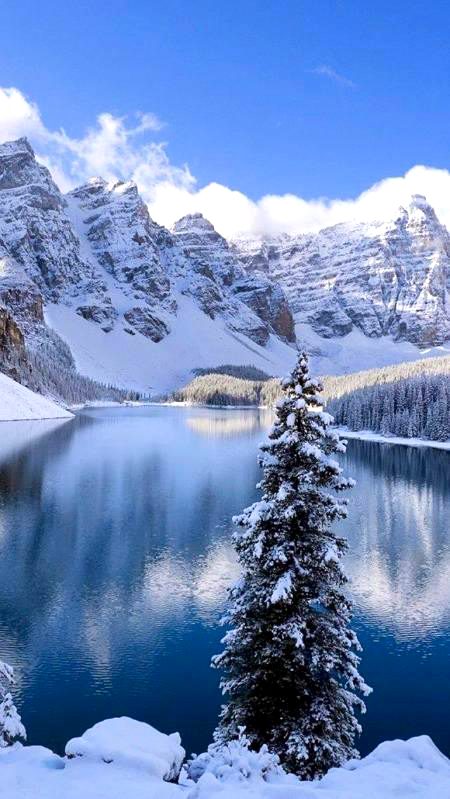 BEAUTIFUL NATURE
