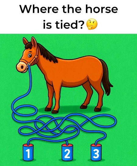 Riddles & Puzzles image