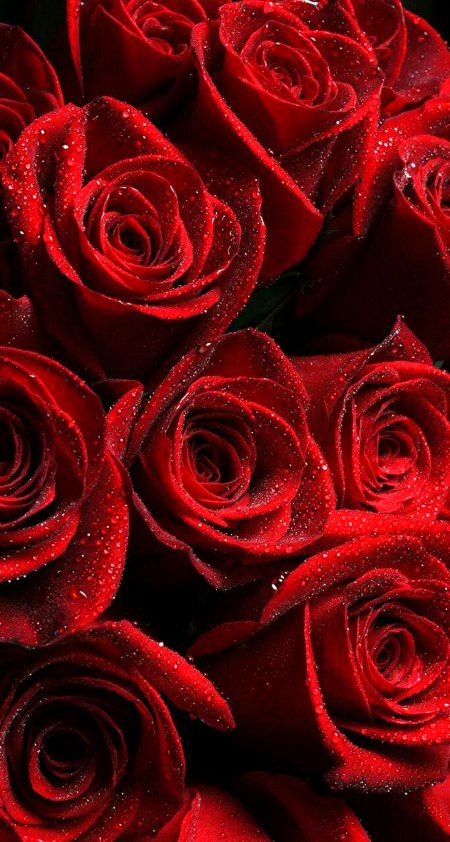 Beautiful Nature image